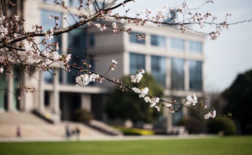 复旦章程修订了