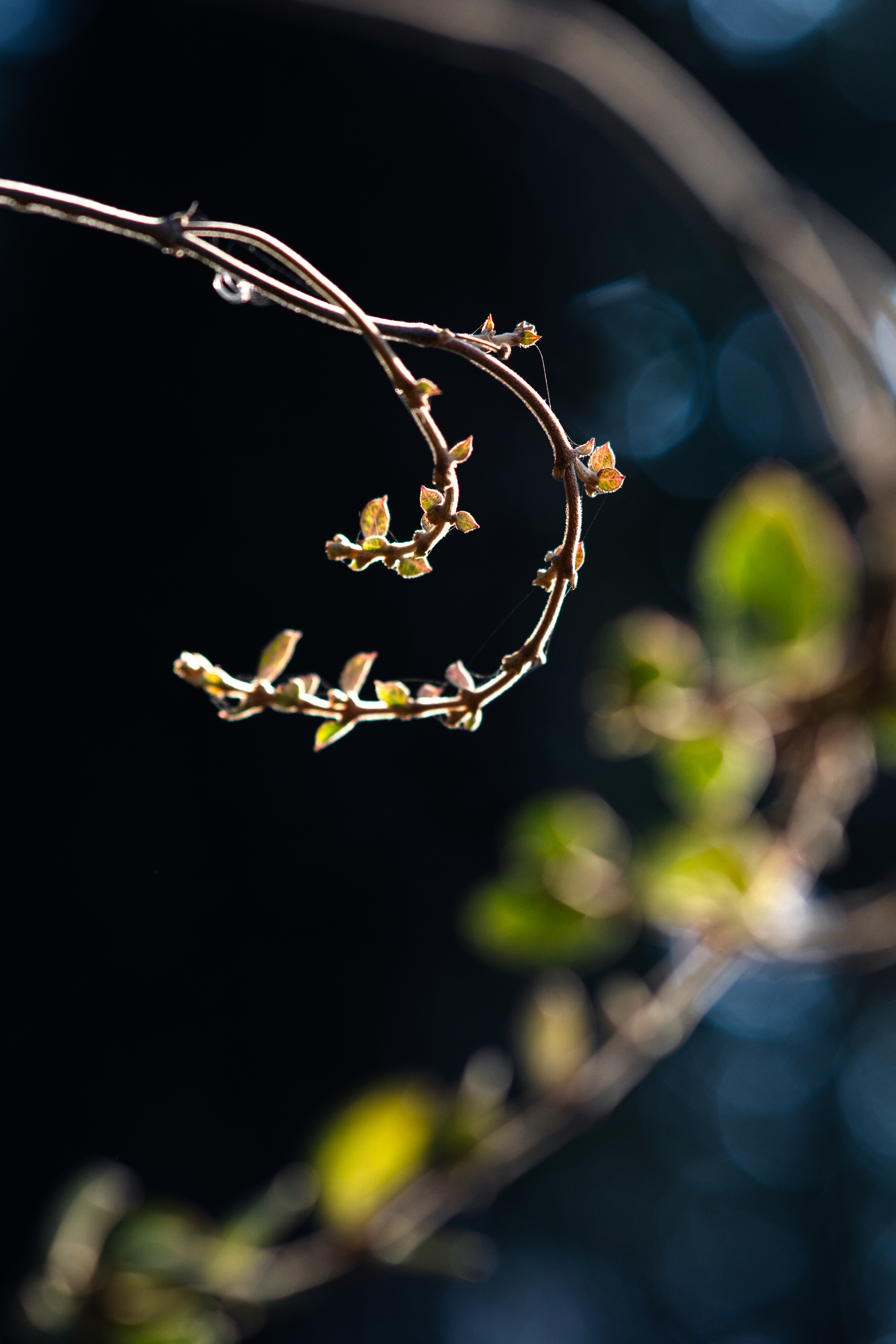 20250101-JokulPhoto-04