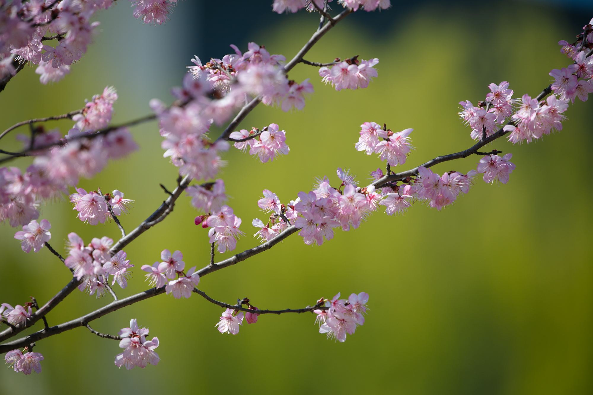 20250316-JokulPhoto-16