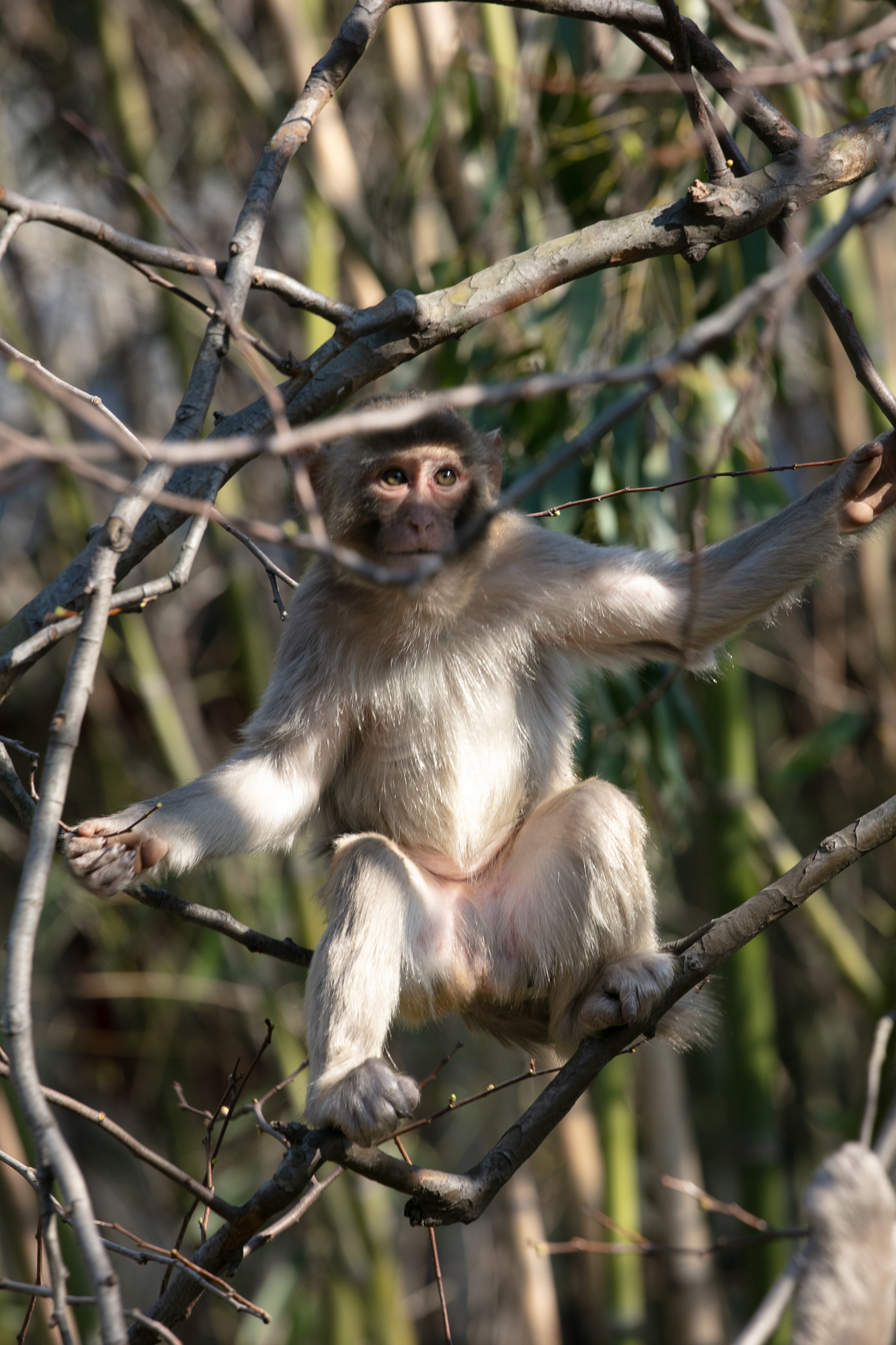 20250317-JokulPhoto-35