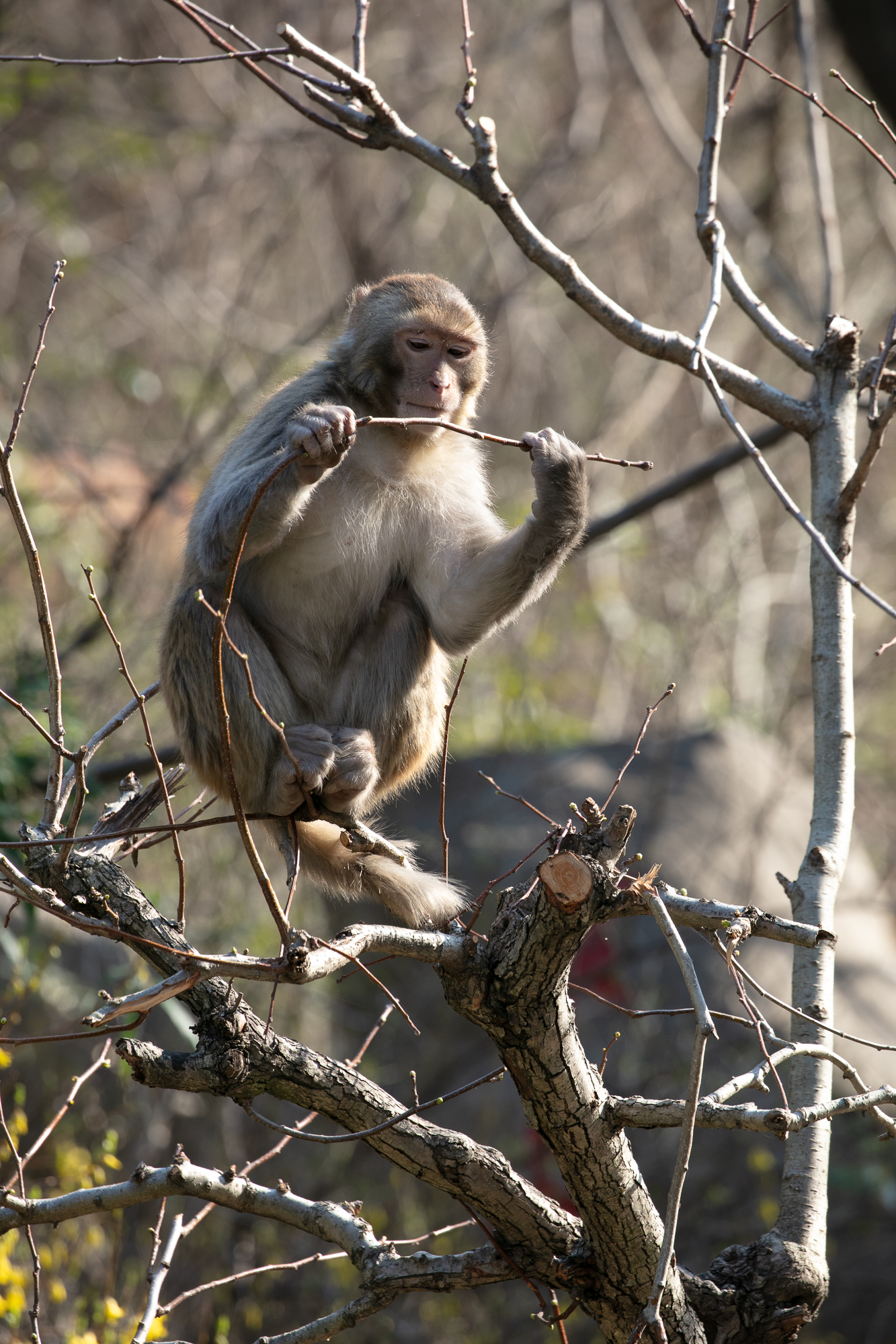 20250317-JokulPhoto-39