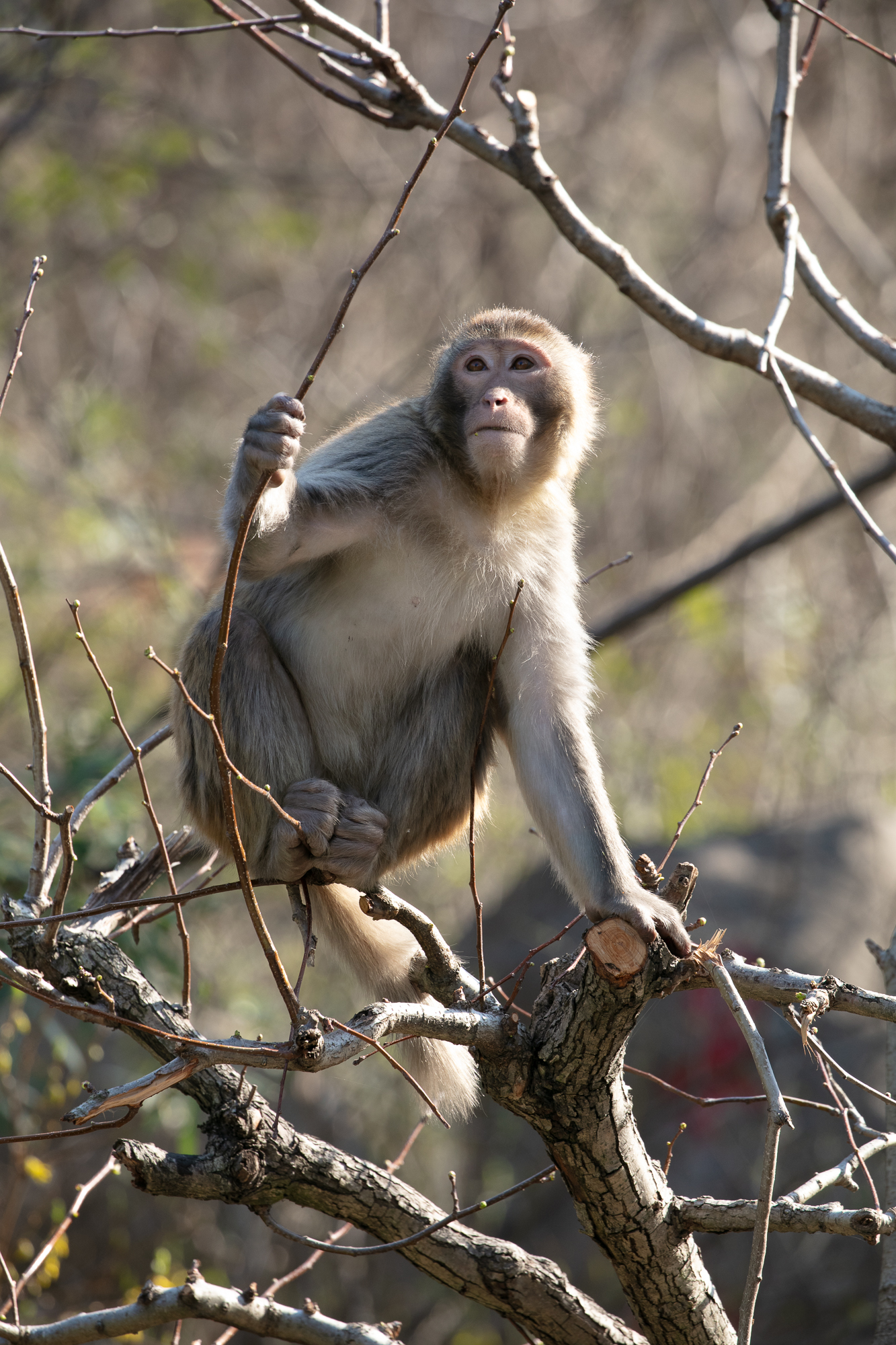 20250317-JokulPhoto-40